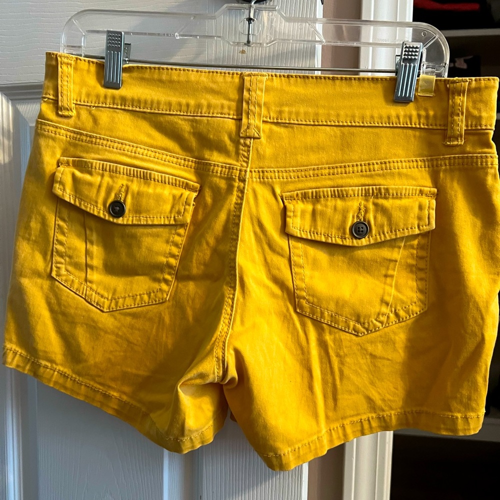 Supplies by Union Bay shorts